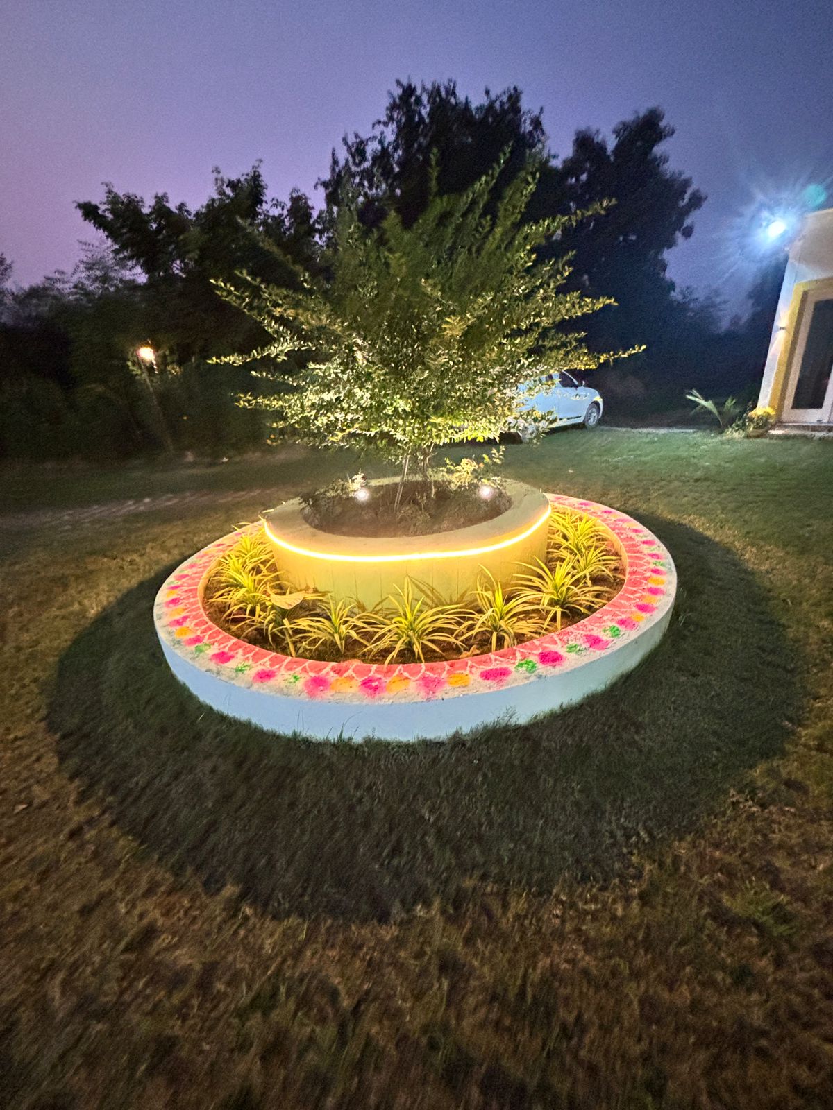 img-8