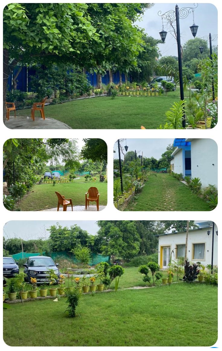 photos